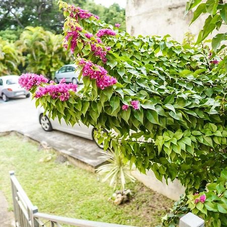 Color Garden - Studio Martinique 圣安娜 外观 照片
