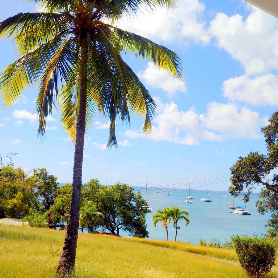 Color Garden - Studio Martinique 圣安娜 外观 照片