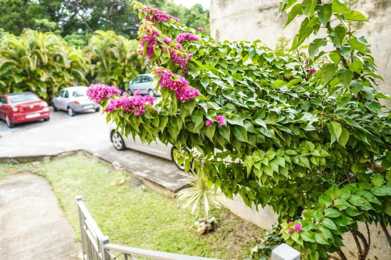Color Garden - Studio Martinique 圣安娜 外观 照片