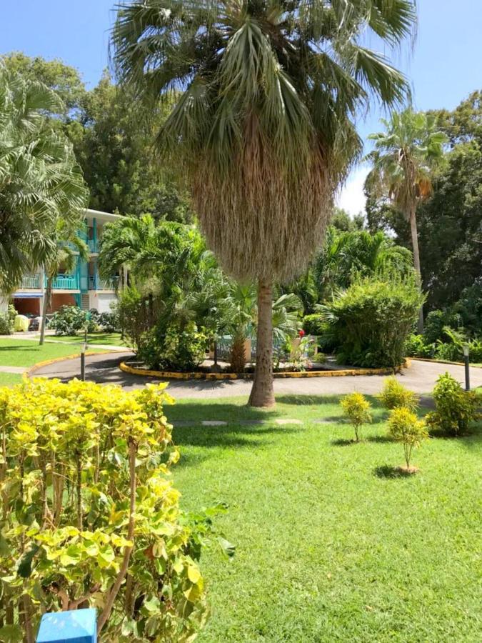 Color Garden - Studio Martinique 圣安娜 外观 照片