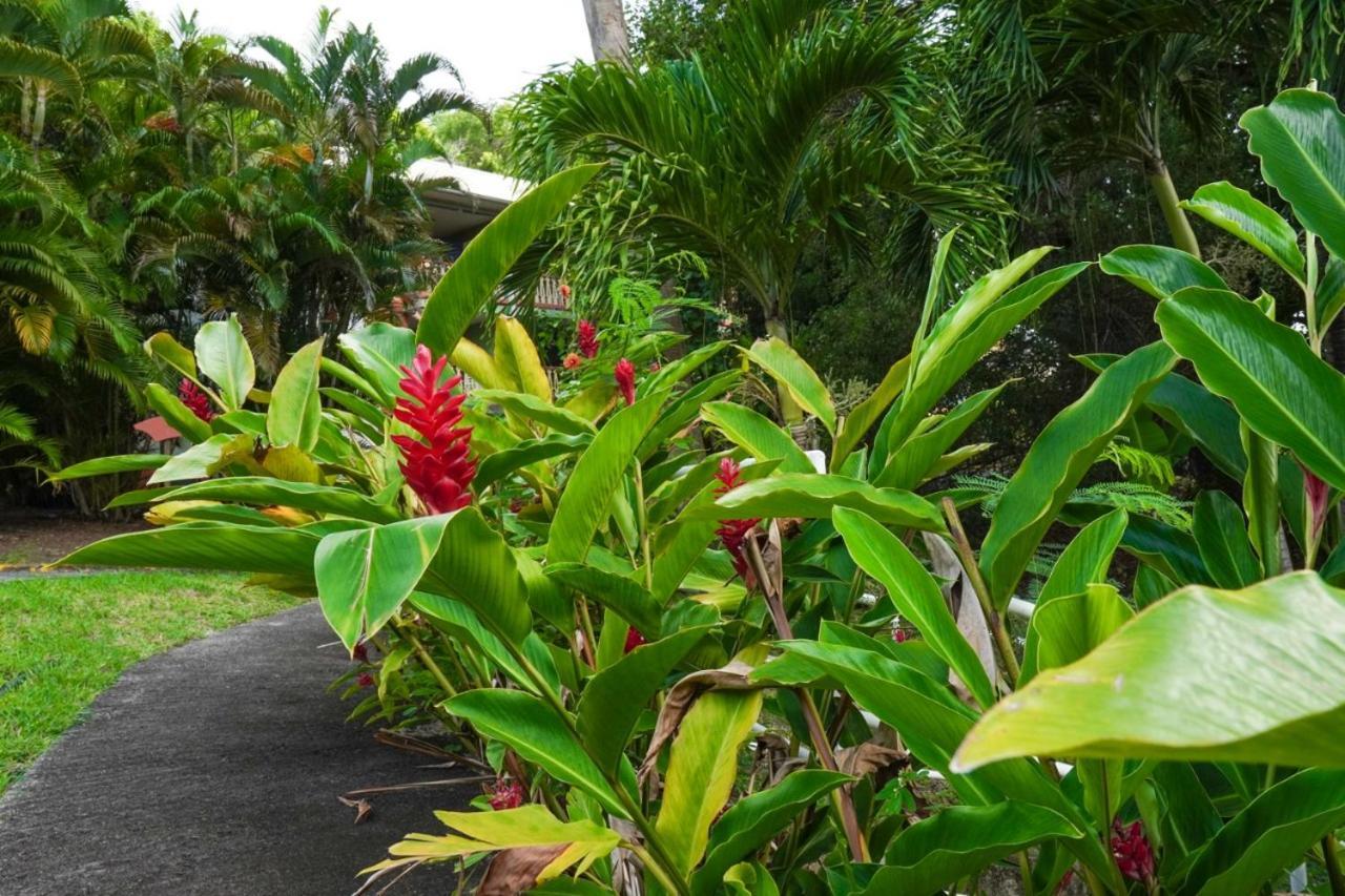Color Garden - Studio Martinique 圣安娜 外观 照片