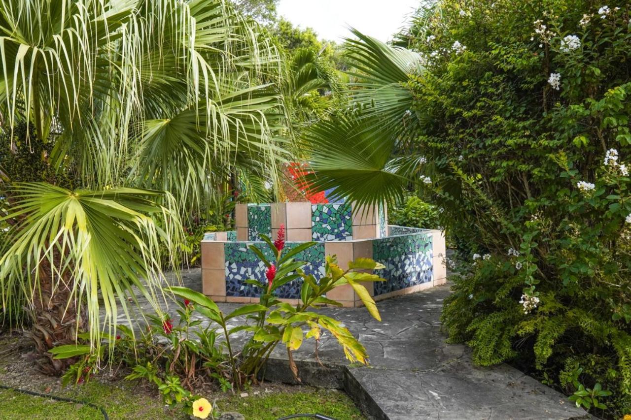 Color Garden - Studio Martinique 圣安娜 外观 照片