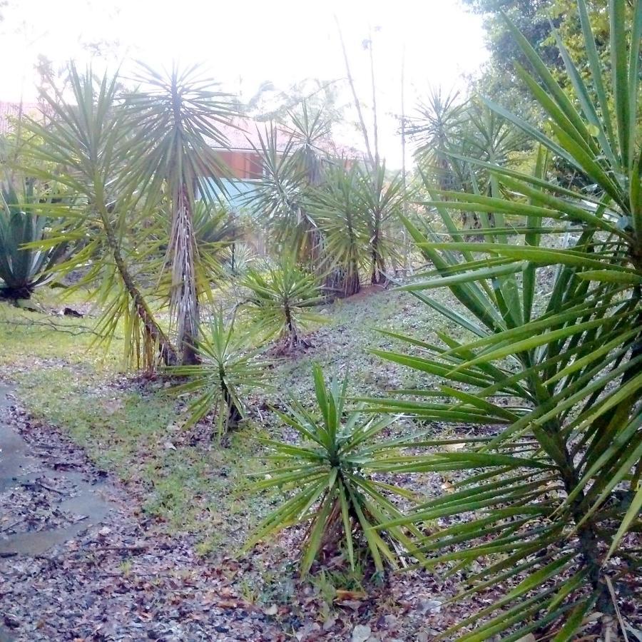 Color Garden - Studio Martinique 圣安娜 外观 照片